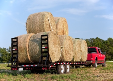 Bales of hay