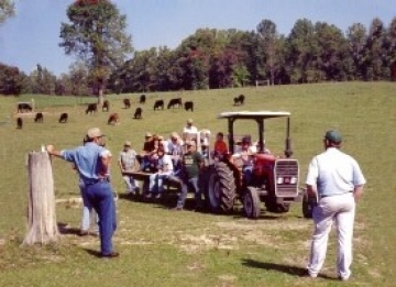 Certified Crop Adviser at work