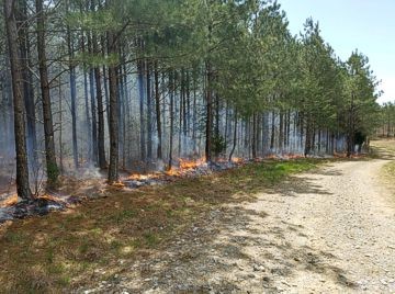 Prescribed burning