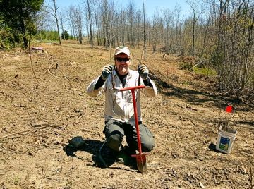 Tree planting