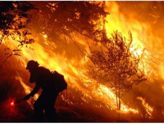 AgForWildfire2 AgForWildfire2
