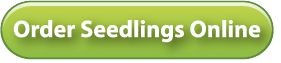 Order Seedlings Online button Order Seedlings Online button