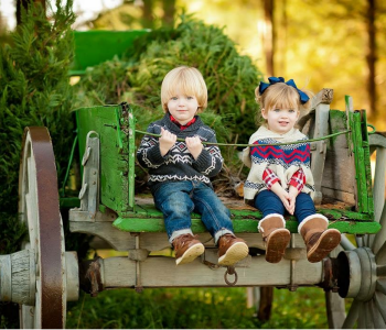 Children on Buckboard