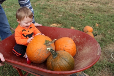 nash_with_pumpkins nash_with_pumpkins