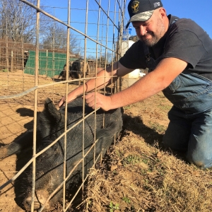Running Hog Farm