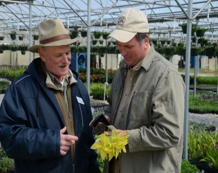 local nursery photo