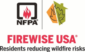 FireWise Logo FireWise Logo