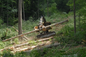 Natchez Trace timber harvest Natchez Trace timber harvest