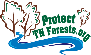 Protect Tennessee Forests Protect Tennessee Forests