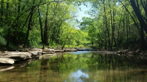 Duck River Duck River