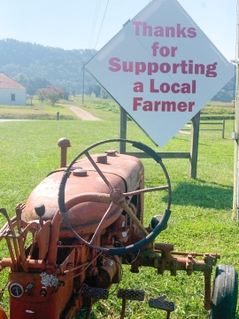 Myers Farm in Hawkins County Tennessee