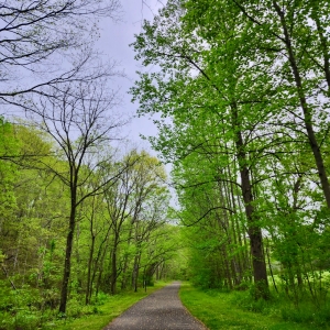 Tennessee Urban Green Space