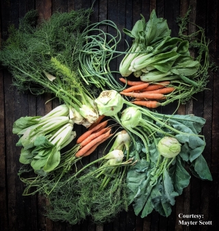 Weird Veggies Weird Veggies