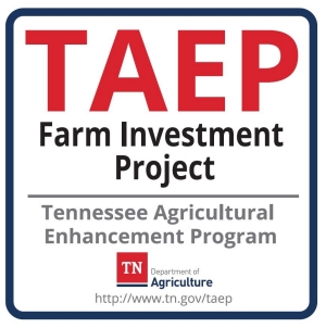 TAEP Logo