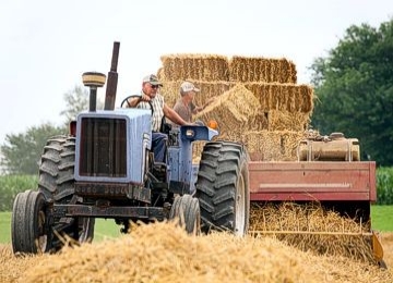 Man on Tractor