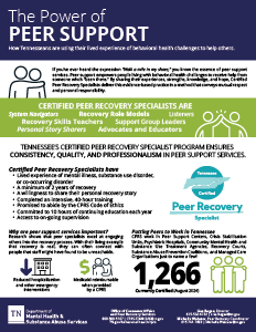 TDMHSAS_Peer_Recovery_Onepager_image image of peer support onepager