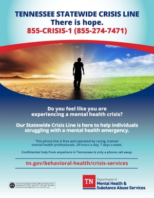New Crisis Flyer July 2018 New Crisis Flyer July 2018
