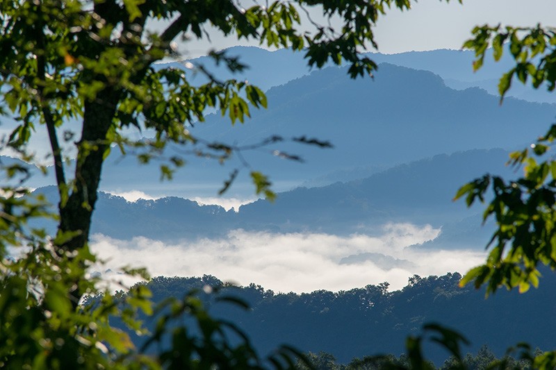 mountain scene in tennessee