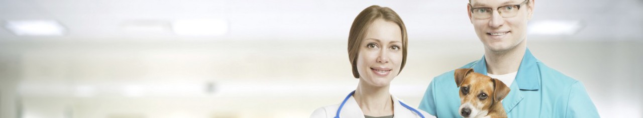 Board of Veterinary Medical Examiners