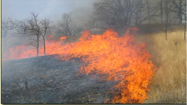 head fire