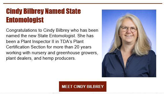 Tennessee Names New State Entomologist