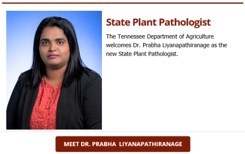Dr. Prabha Liyanapathiranage is New State Plant Pathologist.