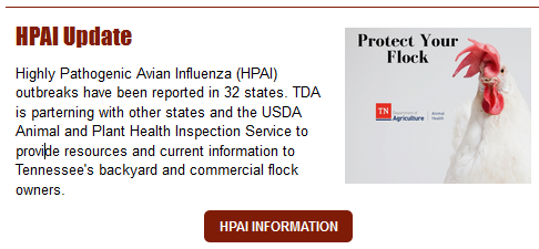 Avian Influenza Information