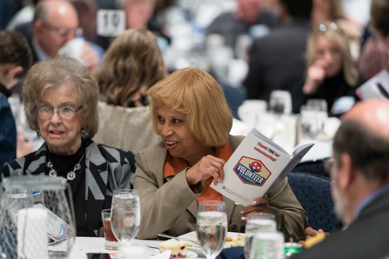 Governor's Volunteer Stars Awards