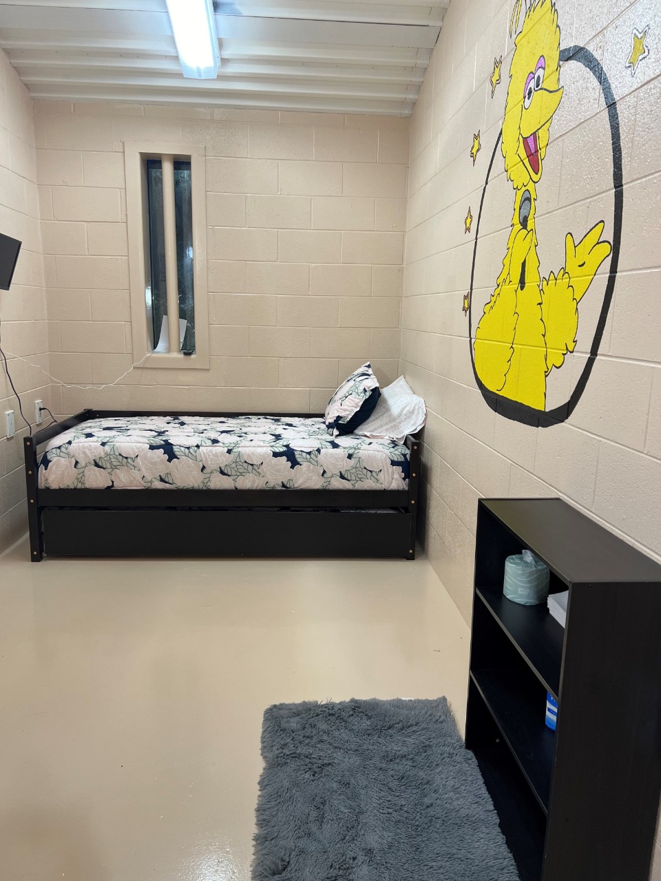 Photo of an overnight child visitation room with bed, book shelf, rug, and big bird on wall.