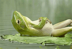 National Relaxation Day