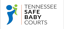 TN Safe Baby Courts