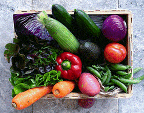 Veg Out with Veggies