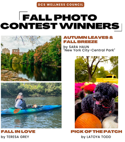 FallContestWinners
