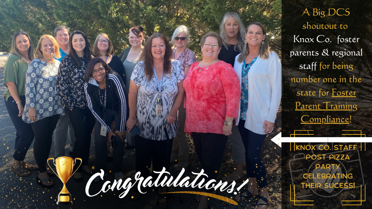 Knox Region Foster Compliance Champions