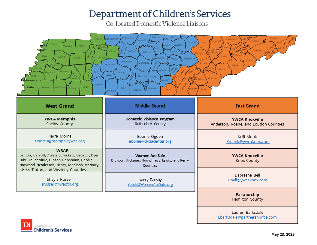 Co-located Domestic Violence Liaisons Co-located Domestic Violence Liaisons