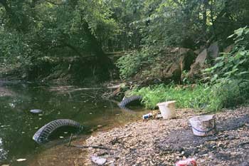 environmental environmental