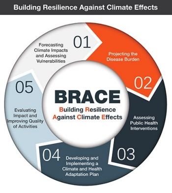 image of CDC's five step B R A C E framework image of CDC's five step B R A C E framework