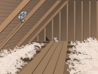 attic_large attic_large