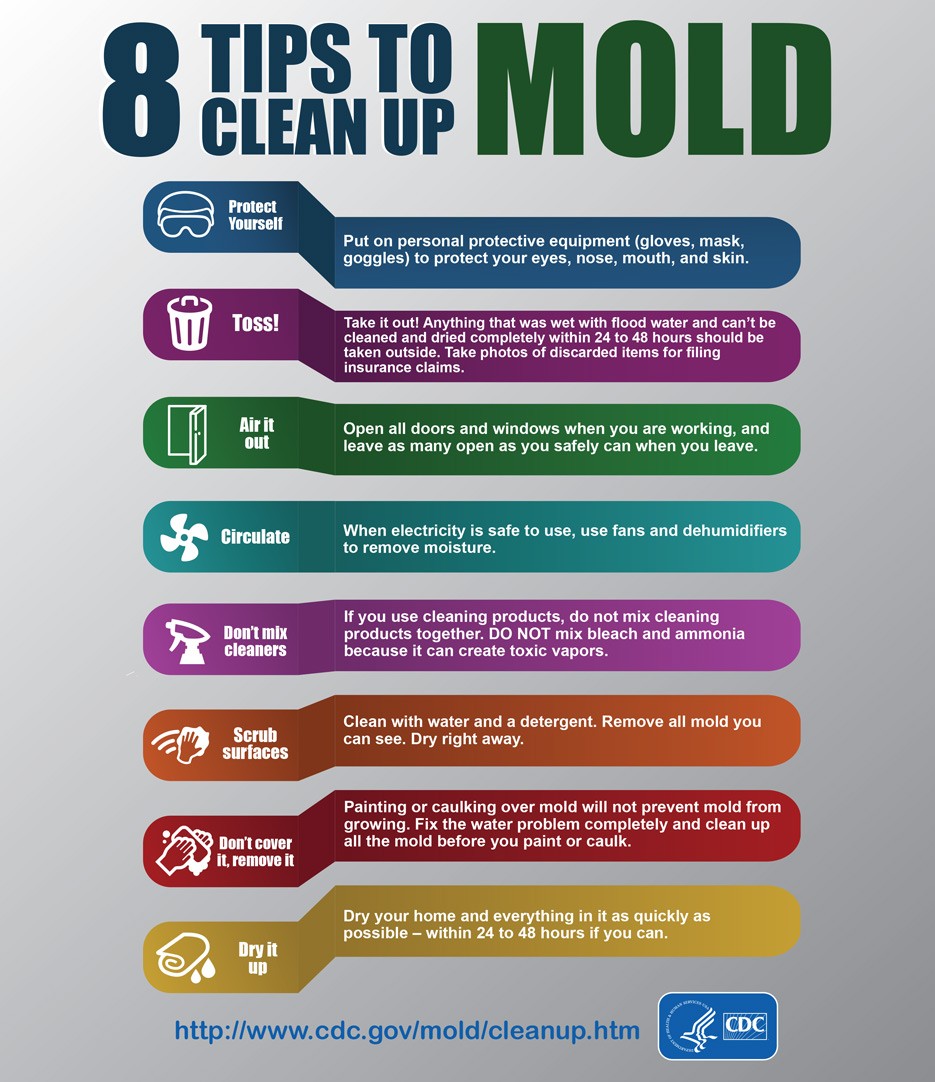 8 Tips to Clean Up Mold 8 Tips to Clean Up Mold