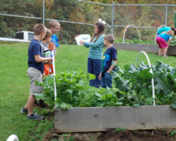 photo of children planting vegetables in a school garden photo of children planting vegetables in a school garden