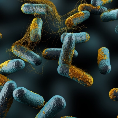 Botulism (Clostridium botulinum)