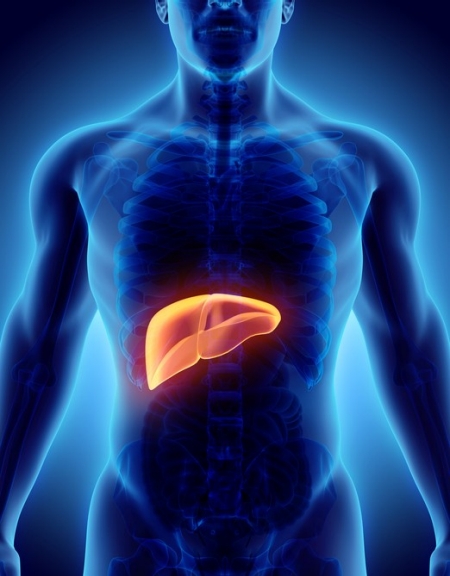 Hepatitis C Hepatitis C