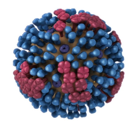Influenza-Associated Deaths: Pediatric (Age <18 Years)