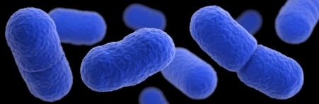 Listeriosis