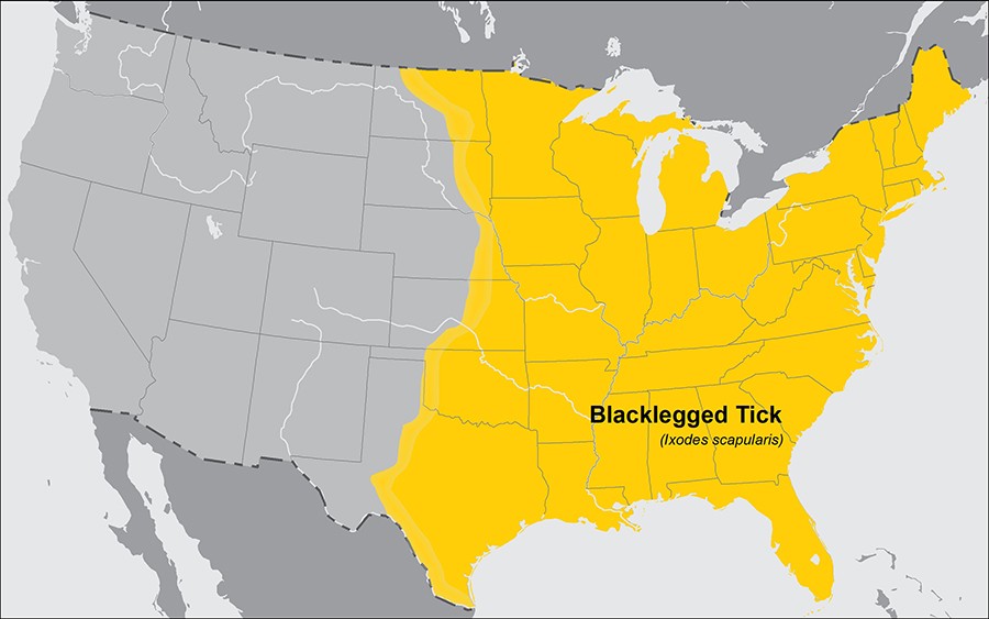 Black legged tick distribution Black legged tick distribution
