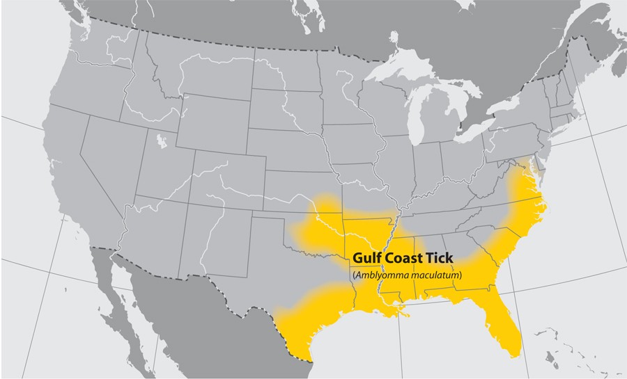 CS4_Tick Basemap_v8.ai CS4_Tick Basemap_v8.ai