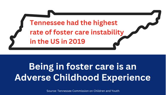 ACEs - Foster Care ACEs - Foster Care