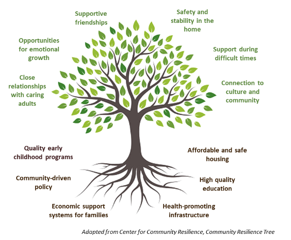 Community Resilience Tree Community Resilience Tree