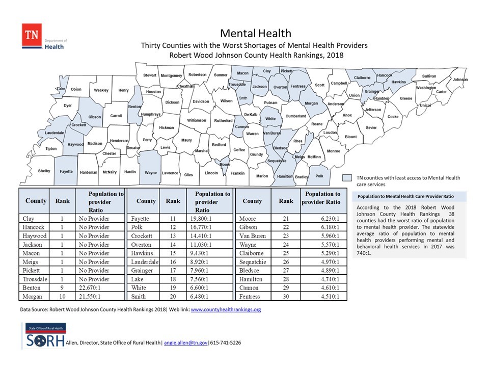 Mental Health Mental Health