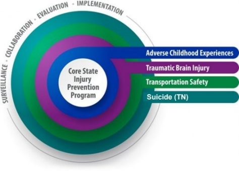 CORE SVIPP LOGO Core State Injury Prevention Program Focus Areas